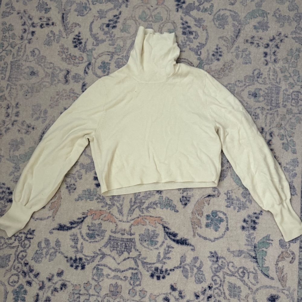 Aritzia Turtleneck Sweater